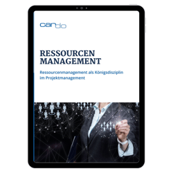 Ressourcenmanagement als Königsdisziplin im Projektmanagement