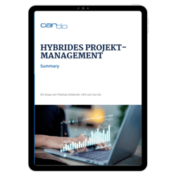 Summary Hybrides Projektmanagement