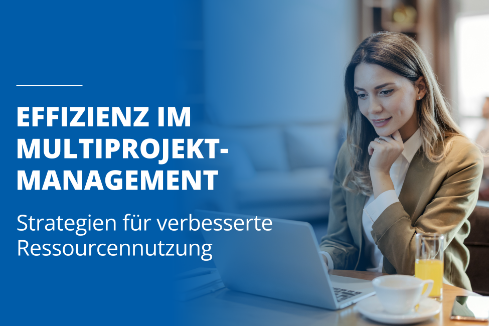 Grafik zur Visualisierung von Multiprojektmanagement und Ressourcenplanung