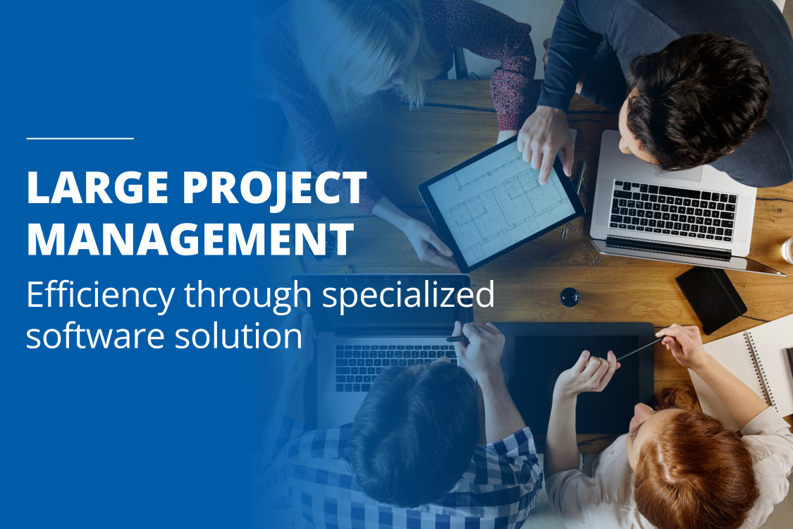 Strategic project management in large-scale projects with a focus on efficiency through specialized software solutions.