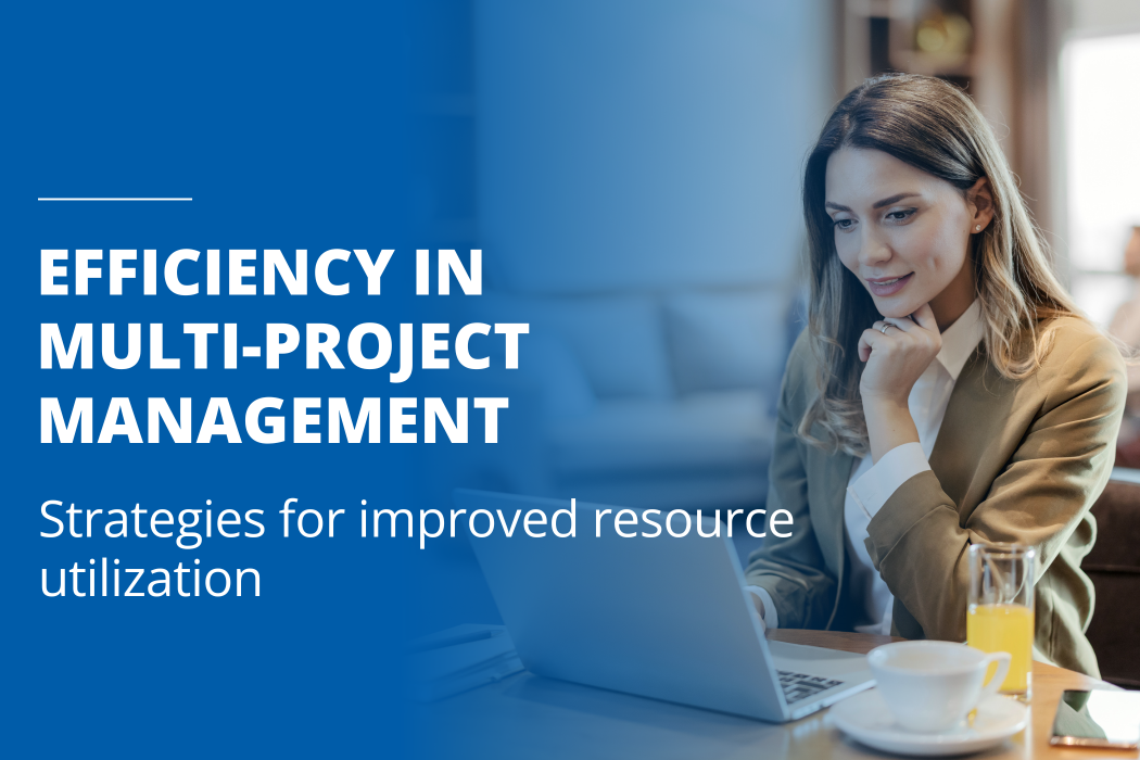 Graphic for visualizing multi-project management and resource planning